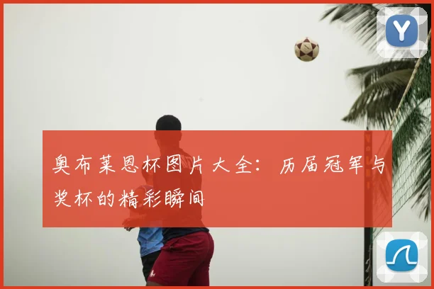 奥布莱恩杯图片大全：历届冠军与奖杯的精彩瞬间