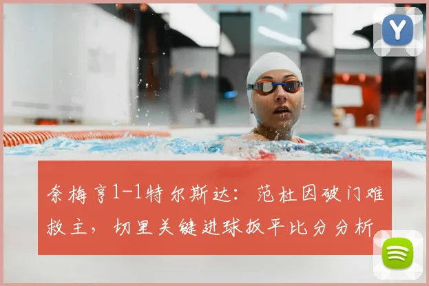 奈梅亨1-1特尔斯达：范杜因破门难救主，切里关键进球扳平比分分析